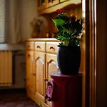 Charming - Big Garden, Bbq & Free Bikes Bled