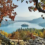 Počitniška hiša Charming - Big Garden, Bbq & Free Bikes