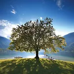 Počitniška hiša Charming - Big Garden, Bbq & Free Bikes Bled