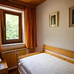 Charming - Big Garden, Bbq&free Bikes * Bled