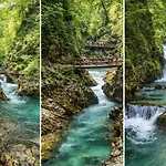 Počitniška hiša Charming - Big Garden, Bbq & Free Bikes