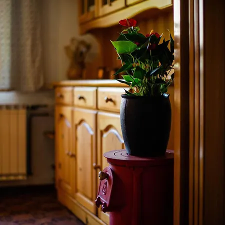 Charming - Big Garden, Bbq & Free Bikes Блед