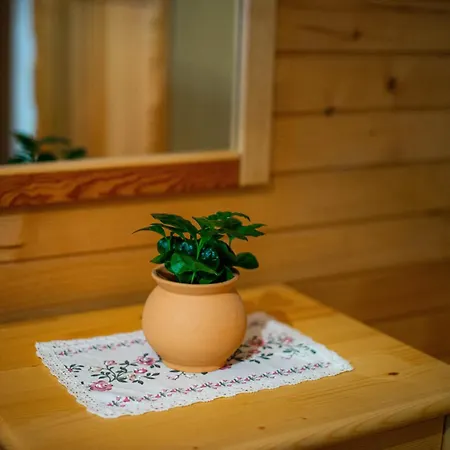 Charming - Big Garden, Bbq & Free Bikes Vikendica