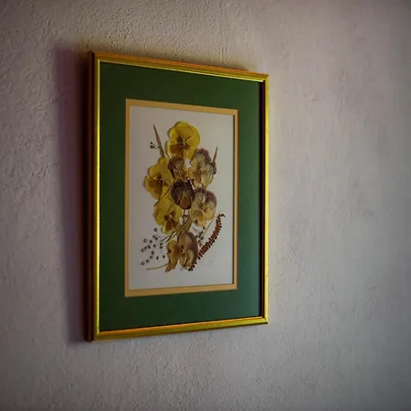 בית נופש Charming Bled Home - Big Garden, Bbq & Free Bikes *