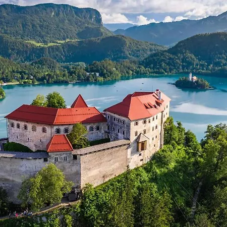 Tatil Evi Charming - Big Garden, Bbq & Free Bikes Bled