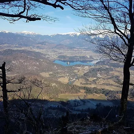 Vikendica Charming - Big Garden, Bbq & Free Bikes Bled