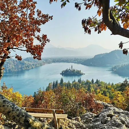 Hébergement de vacances Charming - Big Garden, Bbq & Free Bikes