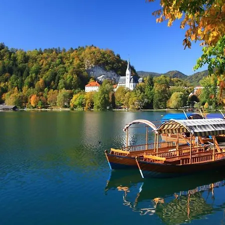 Charming - Big Garden, Bbq & Free Bikes Tatil Evi *