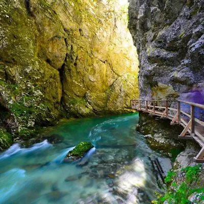 Charming - Big Garden, Bbq & Free Bikes Bled