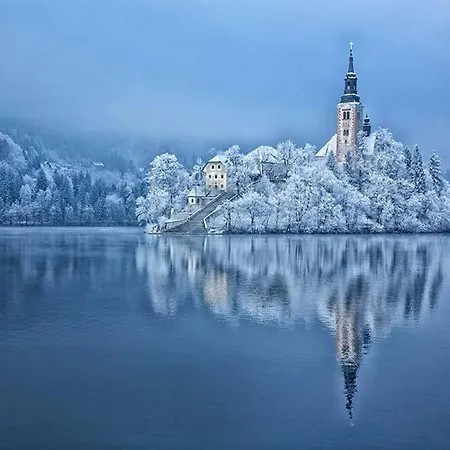 Charming - Big Garden, Bbq & Free Bikes Vikendica Bled