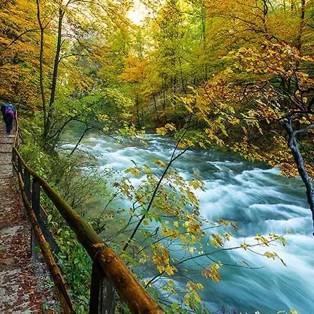 Tatil Evi Charming - Big Garden, Bbq & Free Bikes Bled