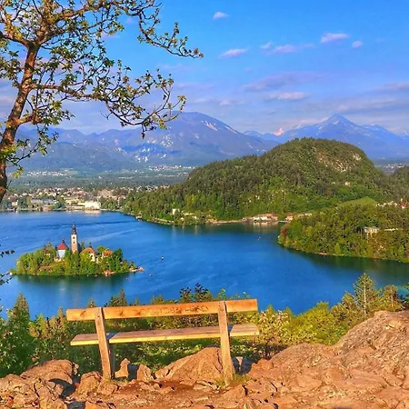 Charming - Big Garden, Bbq & Free Bikes 布莱德