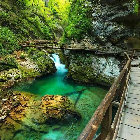 Charming Getaway - Big Garden, Bbq & Bikes * Bled