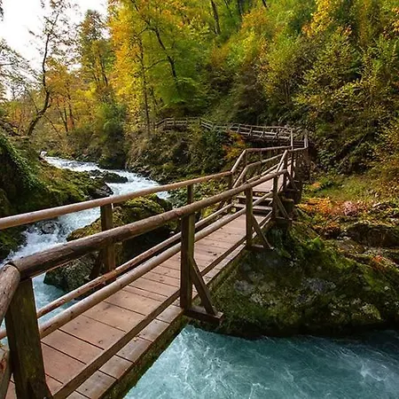 Charming - Big Garden, Bbq & Free Bikes