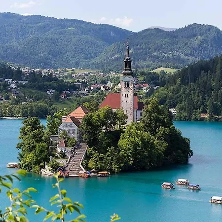 Charming Bled Home - Big Garden, Bbq & Free Bikes בית נופש *