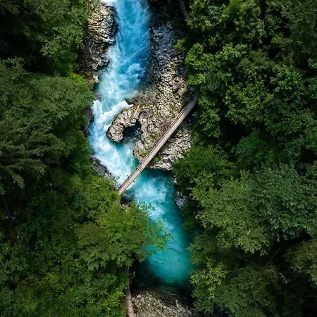 Charming - Big Garden, Bbq & Free Bikes Hébergement de vacances Bled