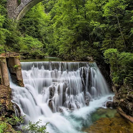 Charming - Big Garden, Bbq & Free Bikes Tatil Evi Bled