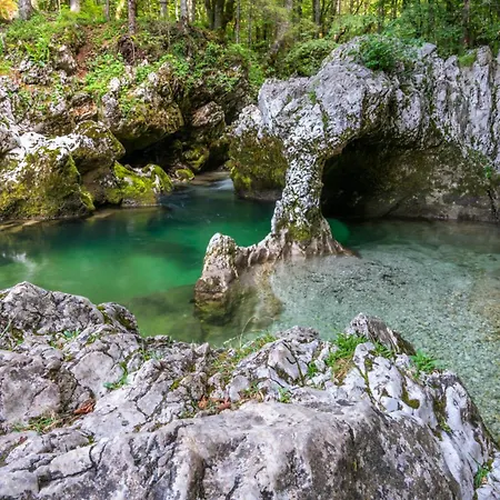 Дом отдыха Charming - Big Garden, Bbq & Free Bikes *