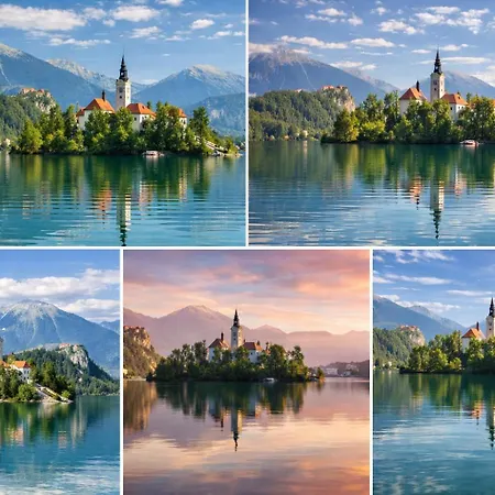 Charming - Big Garden, Bbq & Free Bikes Počitniška hiša *