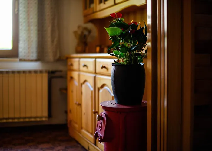 Idyllic House - Big Garden, Bbq&bikes Bled