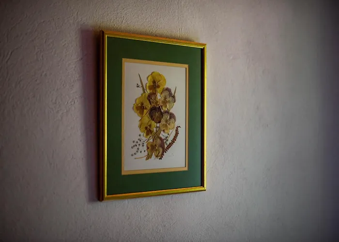 Vakantiehuis Charming - Big Garden, Bbq&free Bikes *