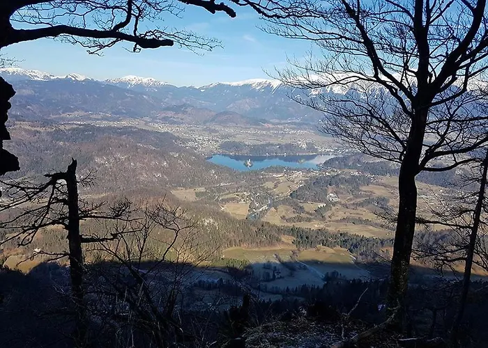 Vakantiehuis Charming - Big Garden, Bbq&free Bikes Bled