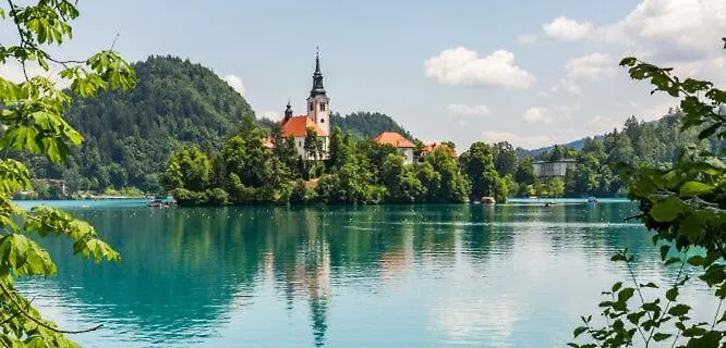 Charming - Big Garden, Bbq&free Bikes *