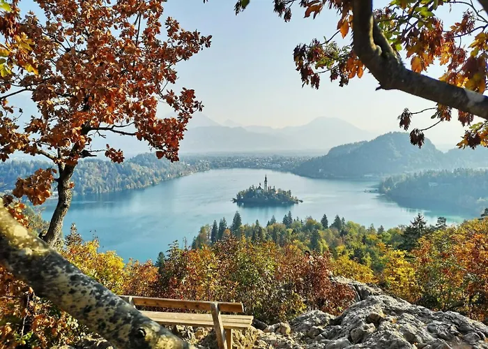 Vakantiehuis Charming - Big Garden, Bbq&free Bikes