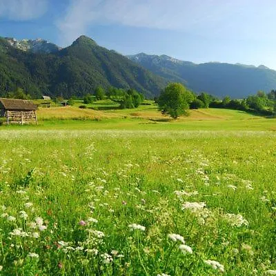 Charming - Big Garden, Bbq&free Bikes Vakantiehuis *