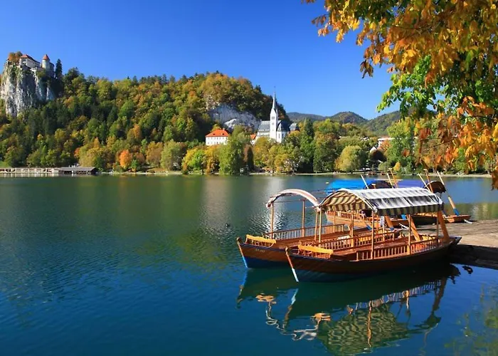 Charming - Big Garden, Bbq&free Bikes Vakantiehuis *