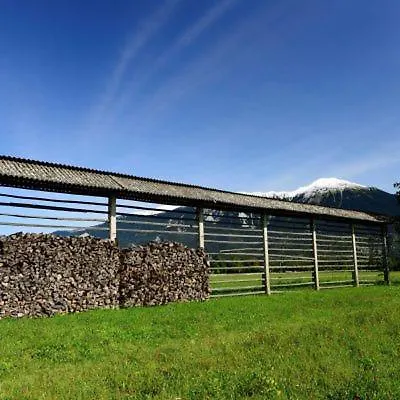 Charming - Big Garden, Bbq&free Bikes Vakantiehuis Bled