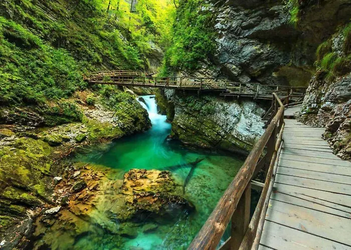 Idyllic House - Big Garden, Bbq&bikes * Bled
