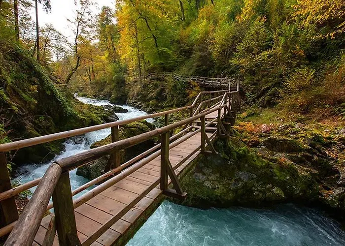 Idyllic House - Big Garden, Bbq&bikes