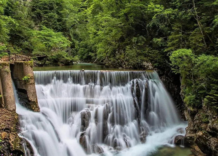 Idyllic House - Big Garden, Bbq&bikes Feriehus Bled