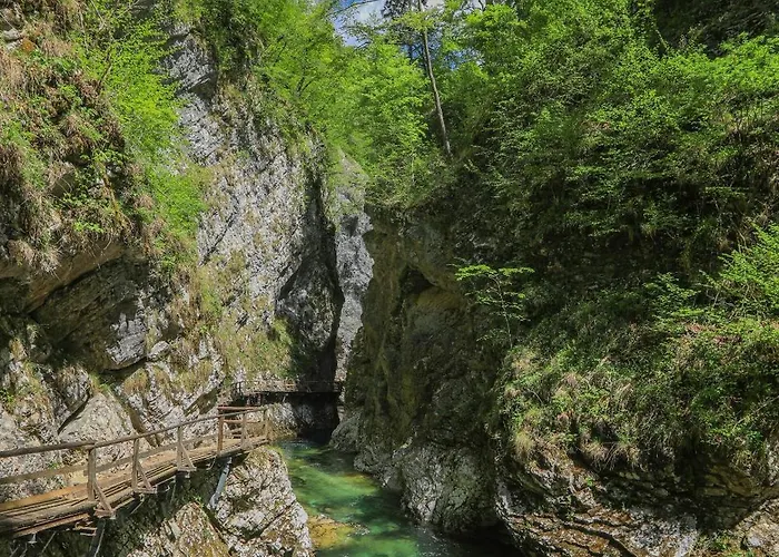 Charming - Big Garden, Bbq&free Bikes Vakantiehuis Bled