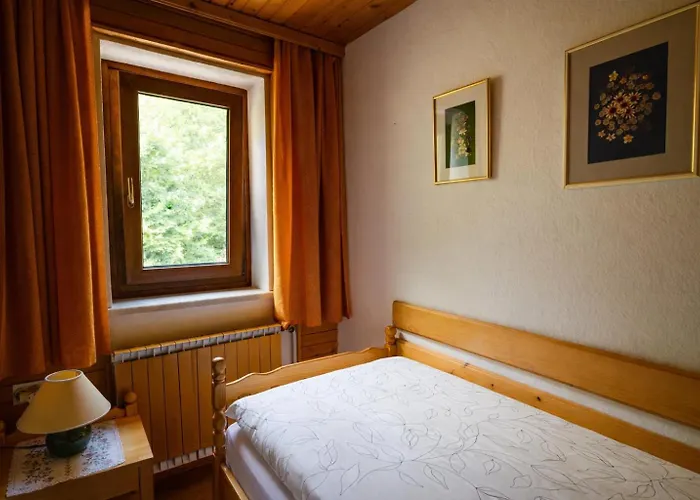 Charming - Big Garden, Bbq&free Bikes * Bled